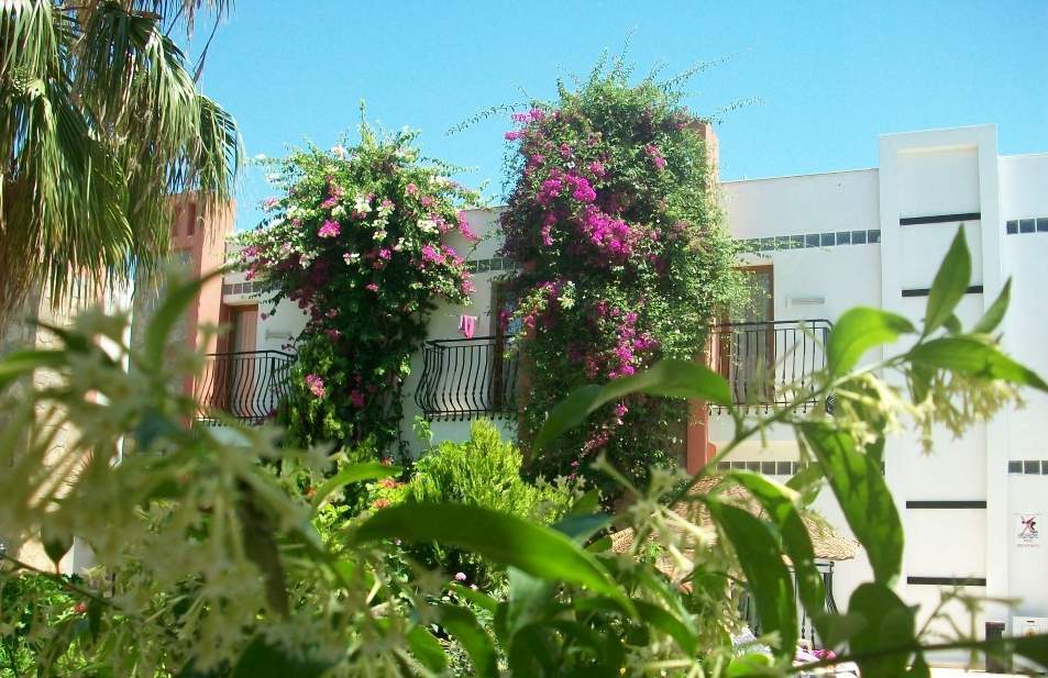 Kriss Otel Ortakent Εξωτερικό φωτογραφία